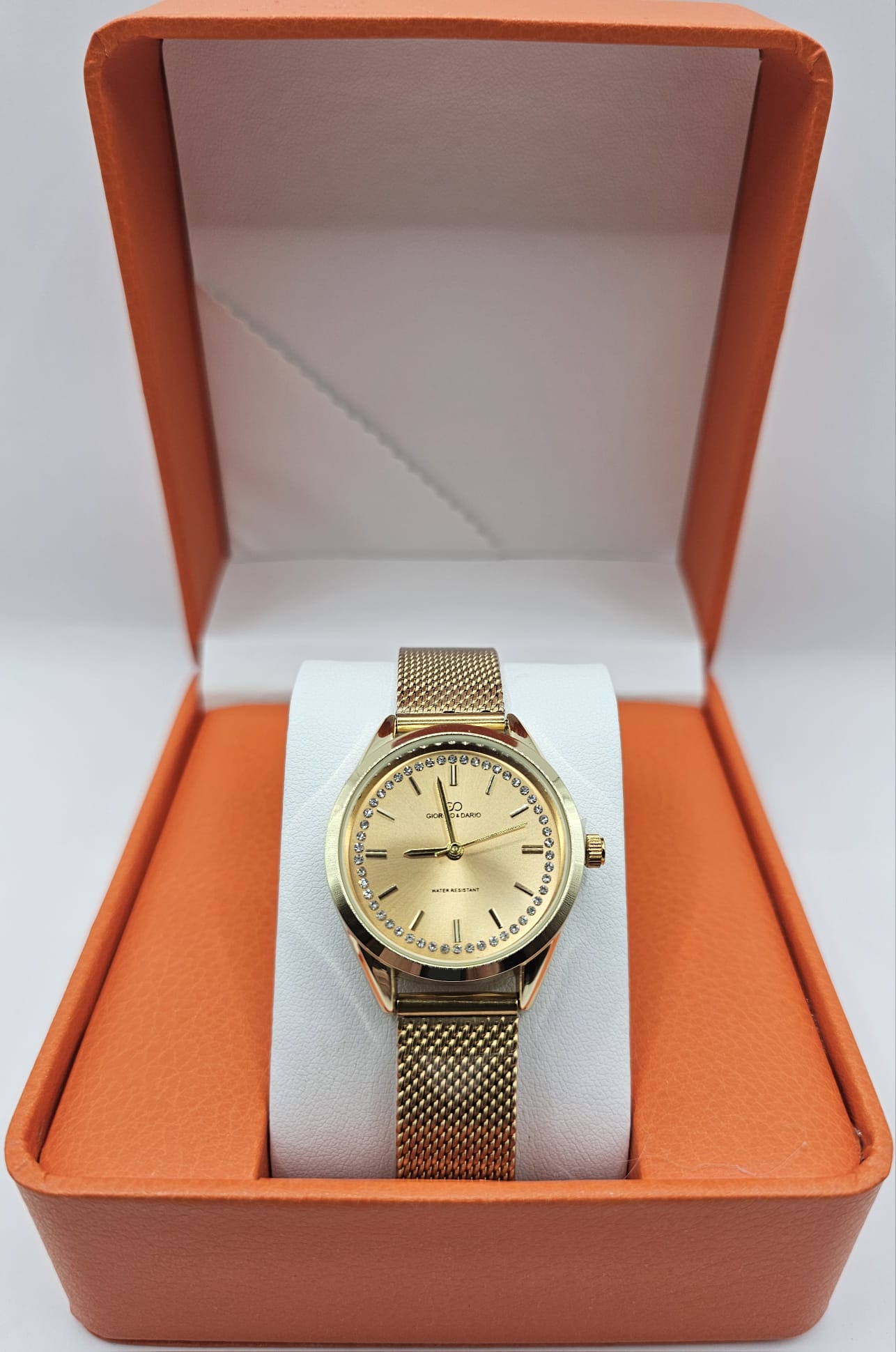 Montre Giorgio&Dario